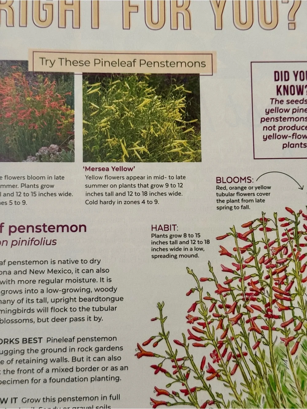 Garden Gate Magazine January/February 2025 Gardening Tips & Best New Plants